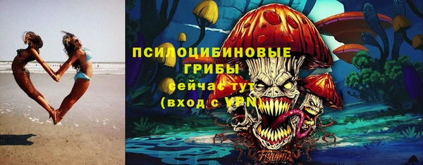 спайс Алексин
