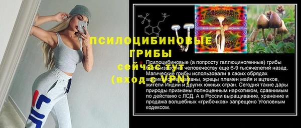 бошки Алексеевка