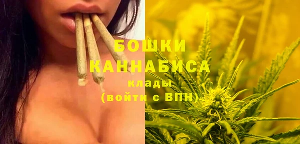 спайс Алексин
